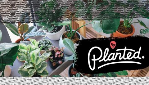 Photo of lots of plants with the Planted logo superimposed on top.