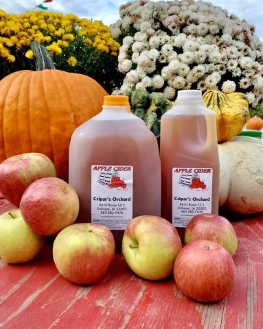 Apples, Cider, Mums, and Pumpkins