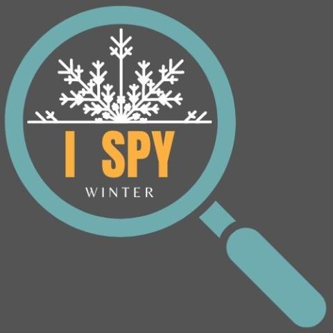 A magnifying glass looking at a snowflake with the words 'I Spy Winter'