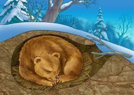 A bear and cub sleeping in a den under snow.