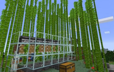 An image of a Minecraft Farm