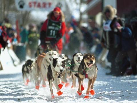 Iditarod