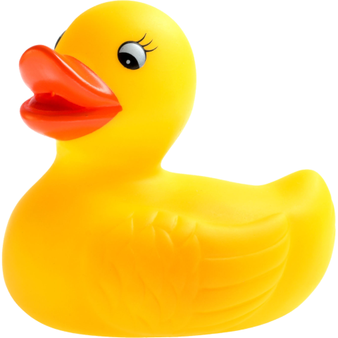 Image of a yellow rubber duck.