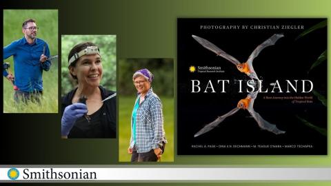 Photos of 3 scientists and the cover of their book "Bat Island."