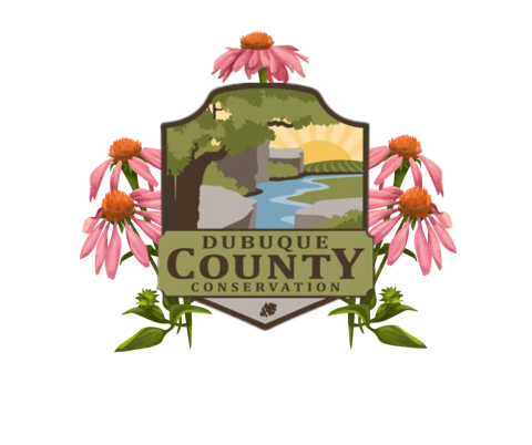 Dubuque County Conservation Logo with purple coneflowers 