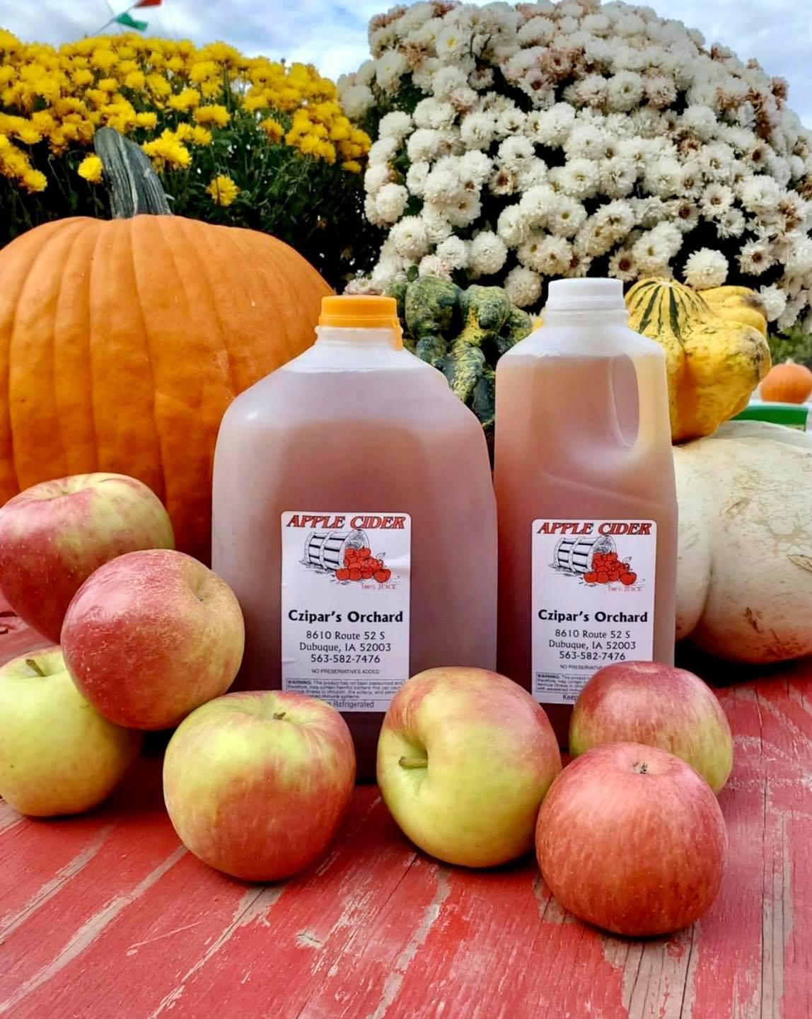 Apples, Cider, Mums, and Pumpkins