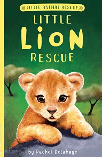 Little Animal Rescue:  Little Lion Rescue