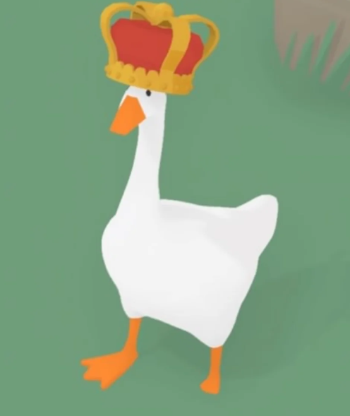 A picture of a goose wearing a crown.