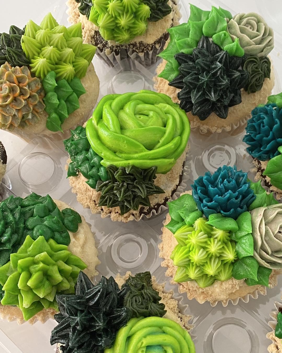 Photo shows colorful cupcakes decorated with frosting made to look like succulent plants.