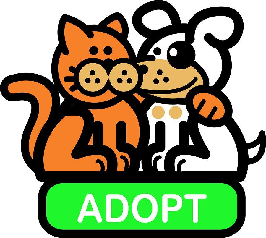 A cartoon cat and dog have their arms around one another. They are sitting on top of a green block of text that says "ADOPT"